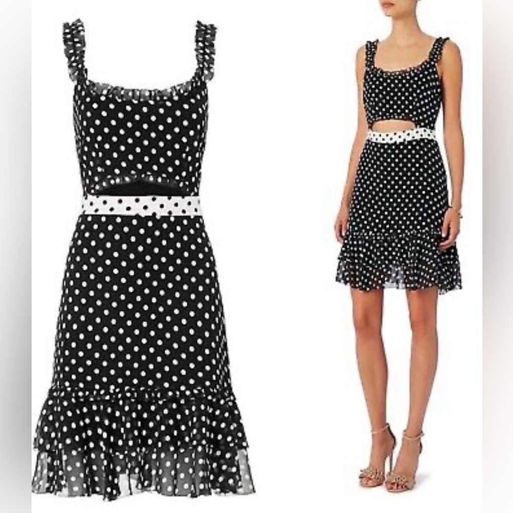 Intermix Polka Dot Silk Cutout Dress❤️